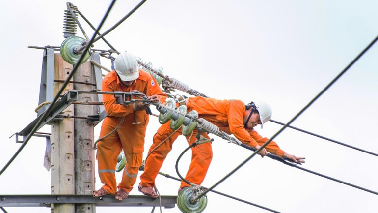 Bảo dưỡng lưới điện tại thành phố Quy Nhơn, tỉnh Bình ĐỊnh