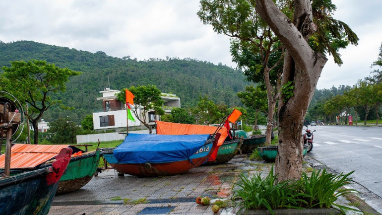 Thuyền đánh cá nhỏ được đưa lên bờ, chằng buộc an toàn.