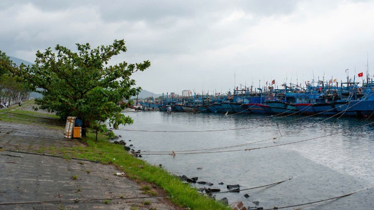 Hàng nghìn tàu đánh cá của Đà Nẵng và các địa phương đã neo đậu, chằng buộc để tránh trú bão tại âu thuyền Thọ Quang.
