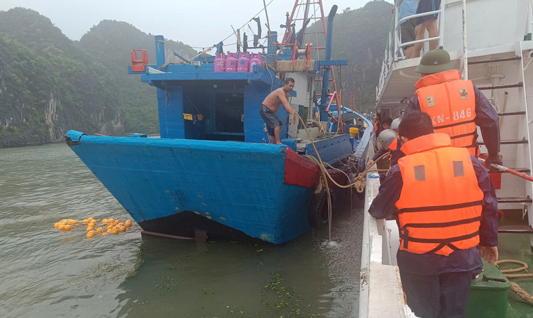 Tàu được neo đậu tránh trú bão an toàn.