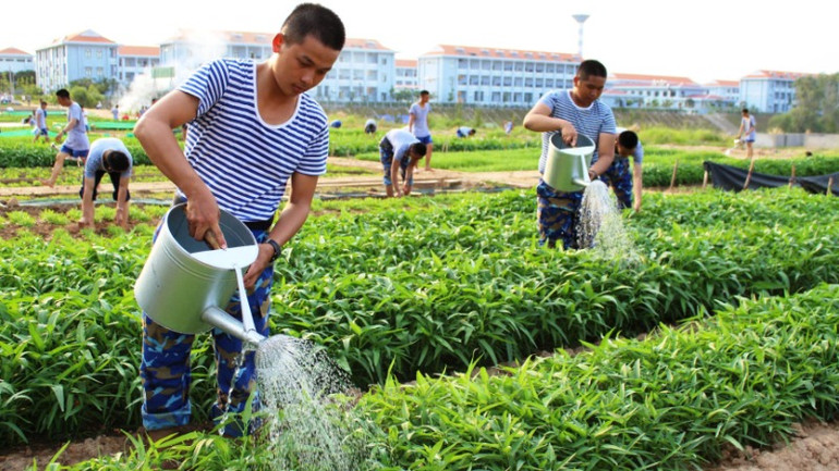 Tăng gia sản xuất nâng cao đời sống cũng là một nhiệm vụ bắt buộc của người lính.