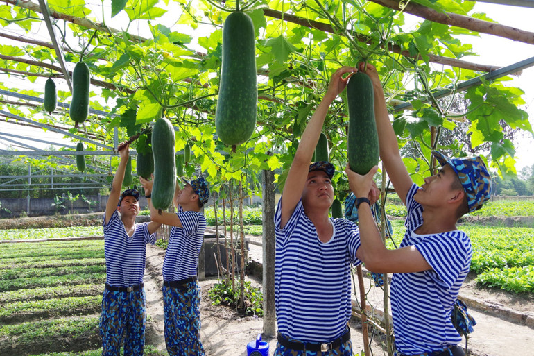 Tăng gia sản xuất, bảo đảm đời sống và sức khỏe cho bộ đội Tăng gia sản xuất, bảo đảm đời sống và sức khỏe cho bộ đội