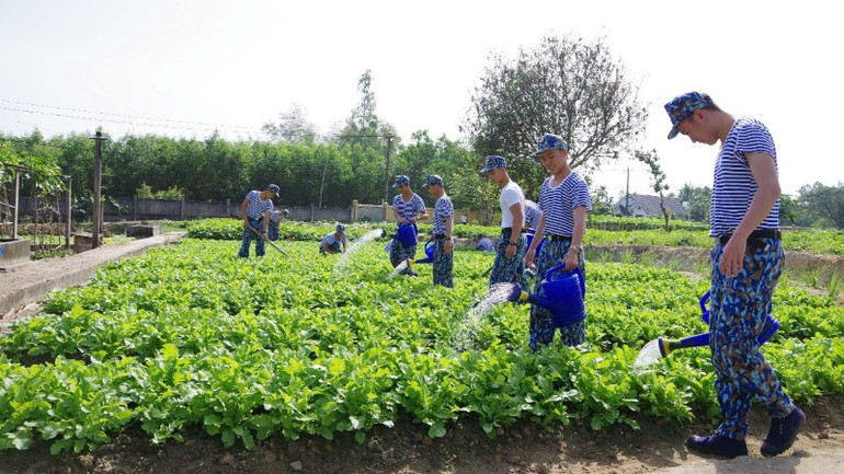 Đẩy mạnh tăng gia sản xuất để bảo đảm đời sống cho bộ đội Đẩy mạnh tăng gia sản xuất để bảo đảm đời sống cho bộ đội