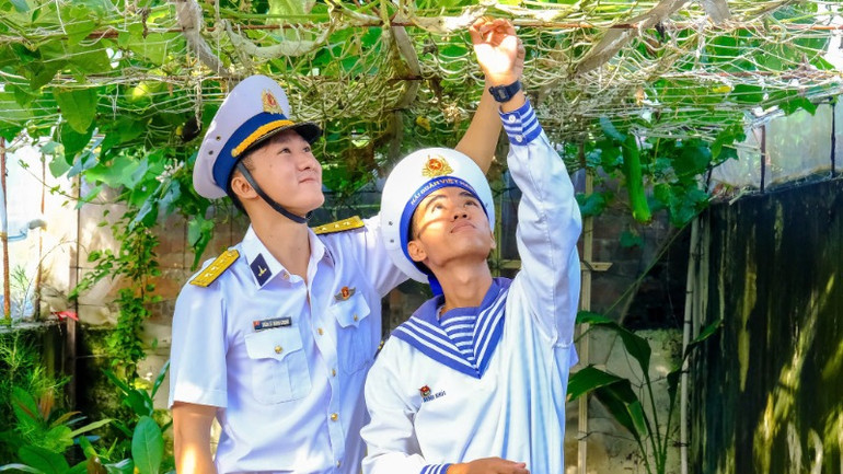 Vườn rau xanh trên đảo Sinh Tồn Đông.