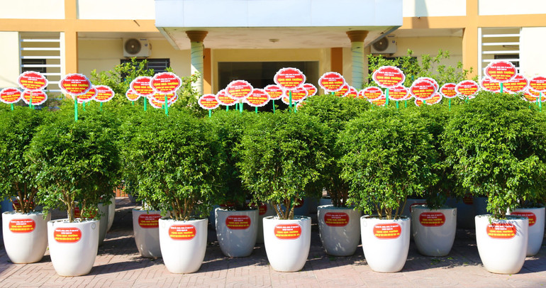 Chủ trương tặng cây xanh của huyện Thạch Hà nhận được sự đồng tình và đánh giá cao của giáo viên và phụ huynh.