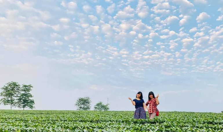 Tiềm năng sản xuất nông nghiệp gắn với du lịch cộng đồng ở Quỳ Hợp đang từng bước được đánh thức.