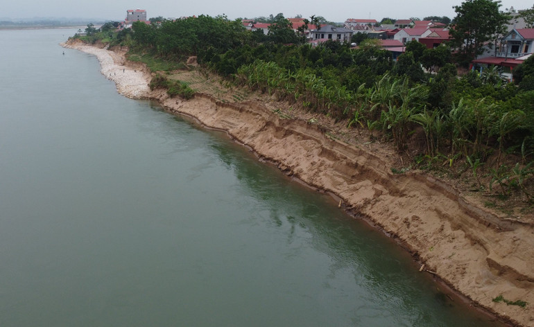 Nhiều diện tích hoa màu của người dân có nguy cơ tiếp tục bị sạt lở xuống sông.