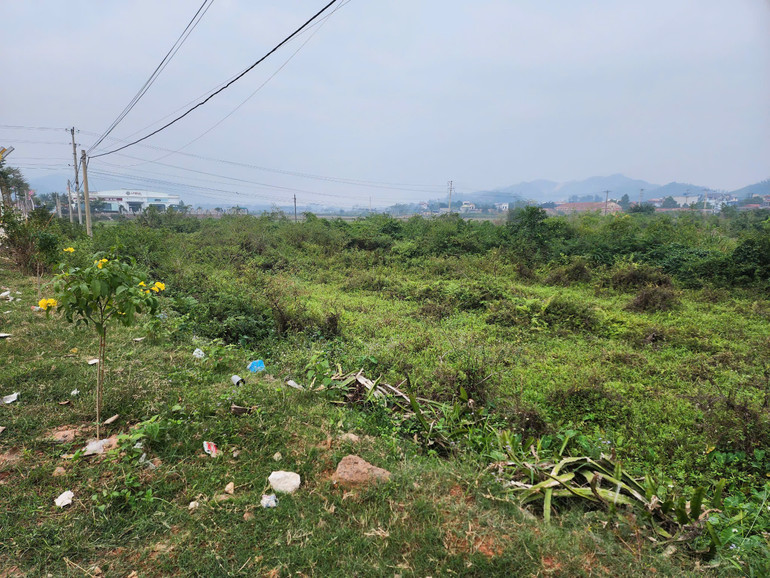 Khu đất sẽ tiến hành cưỡng chế để phục vụ dự án nhà ở tại thị trấn Thanh Thủy.