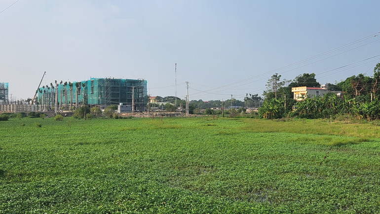 Một phần diện tích đất nông nghiệp phải tiến hành cưỡng chế kiểm đếm bắt buộc xây dựng Khu đô thị mới Tây Nam, thành phố Việt Trì.