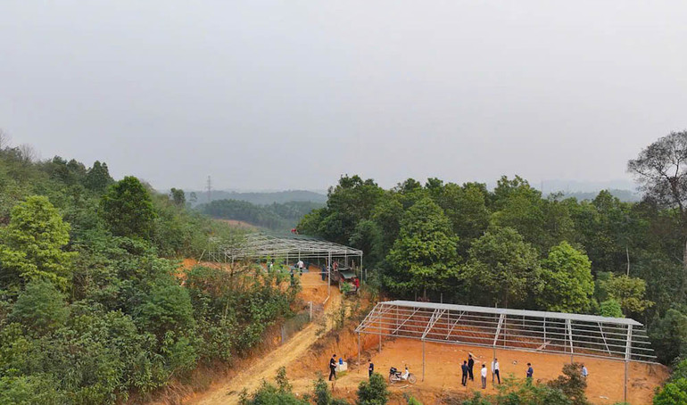 Nhiều nhà xưởng tạm rộng hàng trăm m2 đang được tháo dỡ. Nhiều nhà xưởng tạm rộng hàng trăm m2 đang được tháo dỡ.