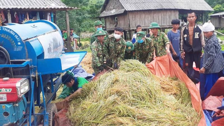 Bộ đội Biên phòng hỗ trợ tuốt lúa ngay trong bản rồi giao lúa hạt cho từng hộ dân.