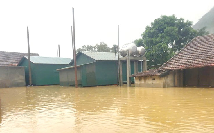 Ở "rốn lũ" Tân Hóa, người dân vẫn an toàn nhờ có nhà nổi (màu xanh) làm nơi sinh sống cho cả gia đình. Ở "rốn lũ" Tân Hóa, người dân vẫn an toàn nhờ có nhà nổi (màu xanh) làm nơi sinh sống cho cả gia đình.