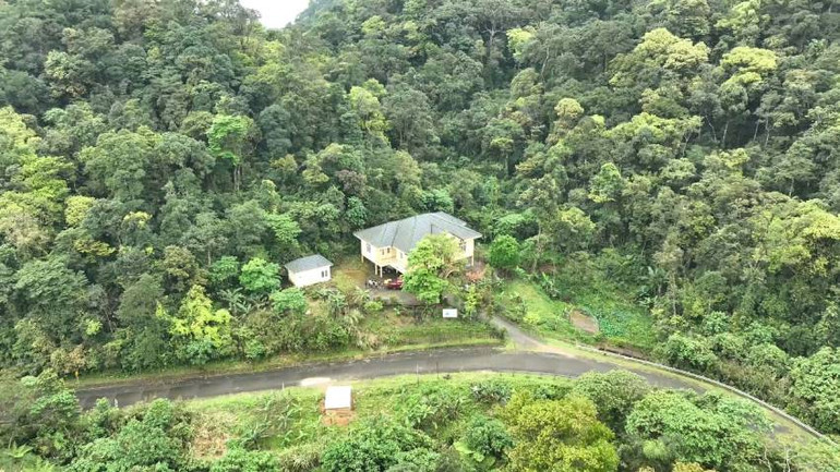 Đỉnh U Bò được ví như là "nóc nhà" của Vườn quốc gia Phong Nha- Kẻ Bàng sắp tới sẽ có tuyến du lịch khám phá thiên nhiên ở đây