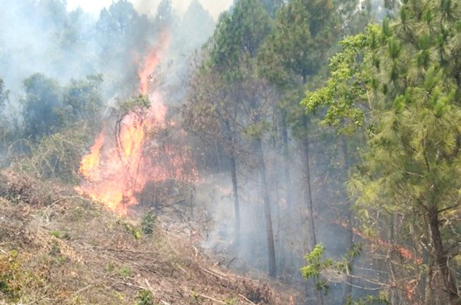 Cháy rừng tại xã Sơn Hóa, huyện Tuyên Hóa trưa ngày 30/4.