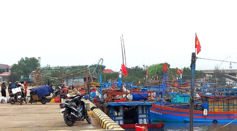 Một góc bến cá Cảnh Dương trong buổi sáng. Một góc bến cá Cảnh Dương trong buổi sáng.