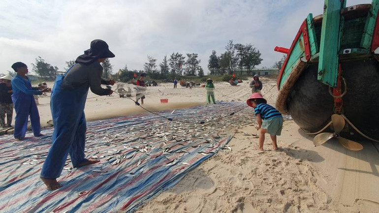 Cả nhà cùng gỡ cá. (Ảnh: Hương Giang)