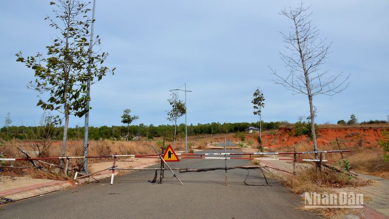 Sau khi Cơ quan Cảnh sát điều tra Bộ Công an khởi tố vụ án “Vi phạm quy định về quản lý, sử dụng tài sản Nhà nước gây thất thoát, lãng phí”, Dự án Khu thương mại dịch vụ và dân cư Tân Việt Phát 2 bị để hoang phế, không tác động. Sau khi Cơ quan Cảnh sát điều tra Bộ Công an khởi tố vụ án “Vi phạm quy định về quản lý, sử dụng tài sản Nhà nước gây thất thoát, lãng phí”, Dự án Khu thương mại dịch vụ và dân cư Tân Việt Phát 2 bị để hoang phế, không tác động.