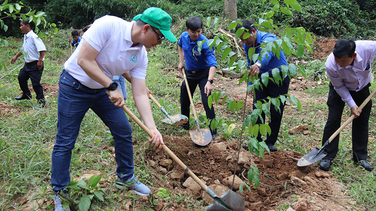 Các đại biểu trồng cây xanh tại Khu di tích căn cứ Tỉnh ủy Bình Thuận thuộc khu vực rừng đầu nguồn ở xã Đông Giang, huyện Hàm Thuận Bắc. (Ảnh: Phú Hà)