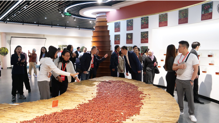 Các đại biểu tham quan Bảo tàng văn hóa táo đỏ Trung Quốc. Các đại biểu tham quan Bảo tàng văn hóa táo đỏ Trung Quốc.
