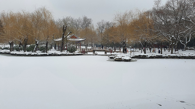 Mặt hồ trong công viên Nhật Đàn đóng băng với lớp tuyết phủ bên trên. Mặt hồ trong công viên Nhật Đàn đóng băng với lớp tuyết phủ bên trên.