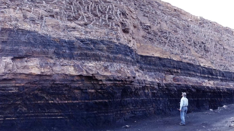 Hóa thạch thảm thực vật Ô Đạt ở thành phố Ô Hải, khu tự trị Nội Mông Cổ. (Ảnh: CCTV)