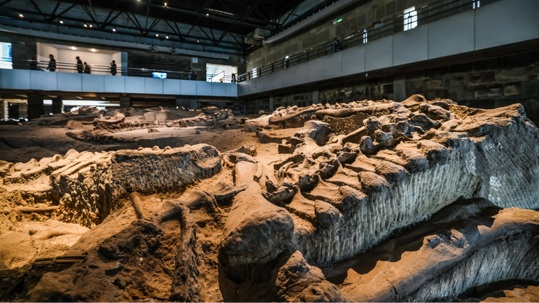 Di chỉ hóa thạch khủng long Đại Sơn Phố đã trở thành Bảo tàng khủng long Tự Cống. (Ảnh: CCTV)