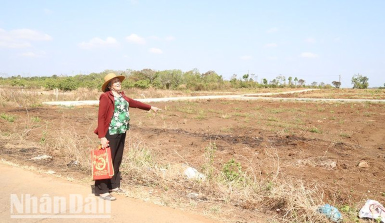 Thửa đất số 1 của gia đình bà Cúc nằm trên địa bàn thôn 4, xã Hòa Xuân đã được Ủy ban nhân dân thành phố Buôn Ma Thuột đền bù, thu hồi để mở rộng nghĩa trang thôn-buôn Mrê, xã Hòa Phú. Thửa đất số 1 của gia đình bà Cúc nằm trên địa bàn thôn 4, xã Hòa Xuân đã được Ủy ban nhân dân thành phố Buôn Ma Thuột đền bù, thu hồi để mở rộng nghĩa trang thôn-buôn Mrê, xã Hòa Phú.