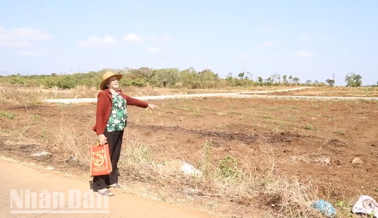 Thửa đất số 1 của gia đình bà Cúc nằm trên địa bàn thôn 4, xã Hòa Xuân đã được Ủy ban nhân dân thành phố Buôn Ma Thuột đền bù, thu hồi để mở rộng nghĩa trang thôn-buôn Mrê, xã Hòa Phú. Thửa đất số 1 của gia đình bà Cúc nằm trên địa bàn thôn 4, xã Hòa Xuân đã được Ủy ban nhân dân thành phố Buôn Ma Thuột đền bù, thu hồi để mở rộng nghĩa trang thôn-buôn Mrê, xã Hòa Phú.