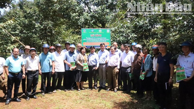 Các mô hình hướng dẫn nông dân sản xuất nông nghiệp thích ứng với biến đổi khí hậu cũng được tổ chức ngày càng nhiều. Các mô hình hướng dẫn nông dân sản xuất nông nghiệp thích ứng với biến đổi khí hậu cũng được tổ chức ngày càng nhiều.