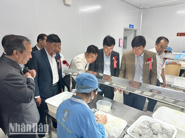 Các đại biểu tham quan cơ sở chế biến tổ yến của Công ty cổ phần xuất nhập khẩu yến sào Thành Dung-Krông Pắc.