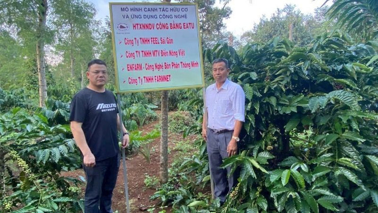 Các doanh nghiệp, hợp tác xã trên địa bàn tỉnh triển khai các mô hình sản xuất hữu cơ và ứng dụng công nghệ để thích ứng với biến đổi khí hậu. Các doanh nghiệp, hợp tác xã trên địa bàn tỉnh triển khai các mô hình sản xuất hữu cơ và ứng dụng công nghệ để thích ứng với biến đổi khí hậu.