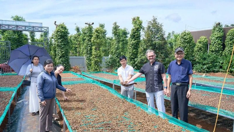 Các đối tác nước ngoài thăm cơ sở chế biến cà-phê hữu cơ của Công ty trách nhiệm hữu hạn sản xuất và thương mại Vương Thành Công, thành phố Buôn Ma Thuột, tỉnh Đắk Lắk.