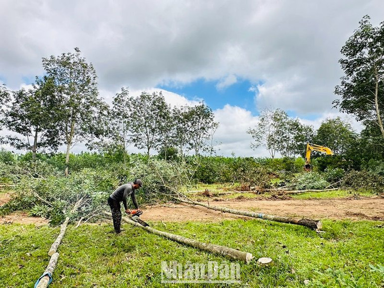 Diện tích mặt bằng cuối cùng trên địa bàn huyện Krông Pắc được giải phóng bàn giao cho đơn vị thi công.