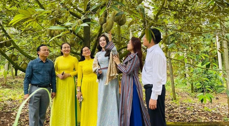 Theo lãnh đạo huyện Krông Pắc, nhân dân trên địa bàn mua số lượng lớn xe ô-tô như vậy là nhờ trúng sầu riêng. Theo lãnh đạo huyện Krông Pắc, nhân dân trên địa bàn mua số lượng lớn xe ô-tô như vậy là nhờ trúng sầu riêng.