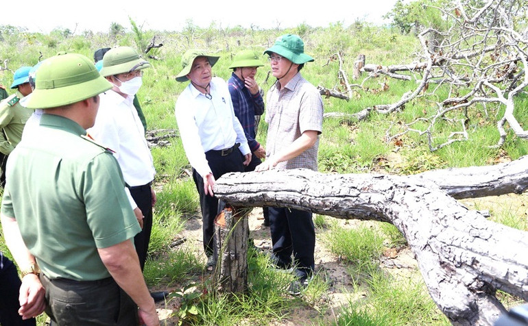 Ngay sau đó, các đồng chí lãnh đạo Tỉnh ủy, Ủy ban nhân dân và các sở, ngành của tỉnh Đắk Lắk đã trực tiếp đến hiện trường kiểm tra và chỉ đạo điều tra, xử lý vụ phá rừng nghiêm trọng này.