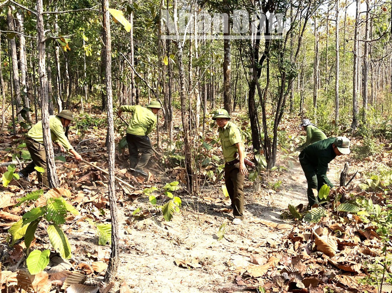 Lực lượng kiểm lâm Vườn quốc gia Yok Đôn làm đường băng cản lửa chủ động phòng cháy, chữa cháy rừng trong mùa khô 2024. Lực lượng kiểm lâm Vườn quốc gia Yok Đôn làm đường băng cản lửa chủ động phòng cháy, chữa cháy rừng trong mùa khô 2024.