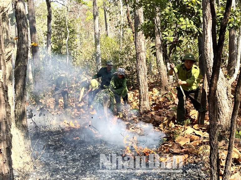 Và sẵn sàng dập lửa chữa cháy rừng khi có cháy rừng xảy ra. Và sẵn sàng dập lửa chữa cháy rừng khi có cháy rừng xảy ra.