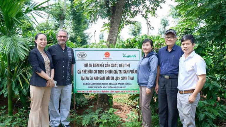 Việc liên kết sản xuất, tiêu thụ cà-phê hữu cơ theo chuỗi giá trị sản phẩm gắn với du lịch sinh thái ngày càng phát triển ở Đắk Lắk.