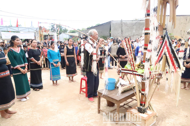 Lễ hội mừng lúa mới của đồng bào Xơ Đăng thu hút đông đảo người dân địa phương và du khách gần xa đến chung vui và thưởng thức ẩm thực truyền thống của buôn làng.