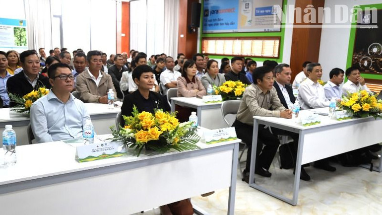 Các đại biểu dự Lễ khởi động Dự án xây dựng mô hình sử dụng phân bón hữu cơ trong sản xuất sầu riêng bền vững tại tỉnh Đắk Lắk.