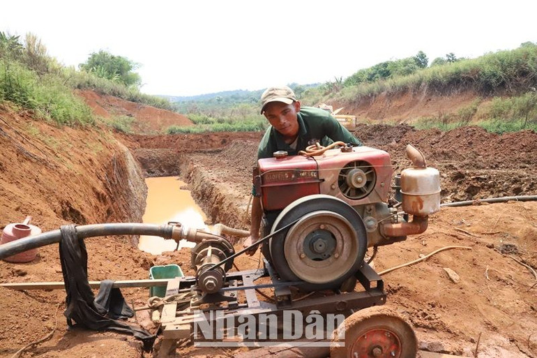 Người nông dân nỗ lực bơm vét những giọt nước còn lại để tưới cứu cây trồng. Người nông dân nỗ lực bơm vét những giọt nước còn lại để tưới cứu cây trồng.