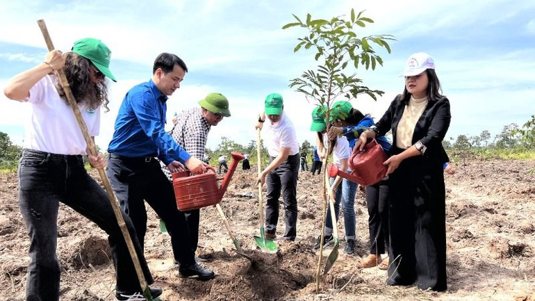 Những năm gần đây, công tác trồng rừng cũng được các cấp, các ngành tỉnh Đắk Lắk quan tâm để góp phần chống biến đổi khí hậu. Những năm gần đây, công tác trồng rừng cũng được các cấp, các ngành tỉnh Đắk Lắk quan tâm để góp phần chống biến đổi khí hậu.