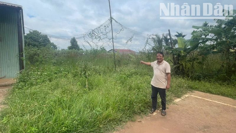 Ông Nguyễn Văn Diễn đứng trước thửa đất mà ông đã mua hơn 12 năm nay trước giáp với hành lang giao thông Quốc lộ 14, nay Văn phòng đăng ký đất đai huyện Krông Búk mời lên làm thủ tục hoàn thuế khiến ông bức xúc.