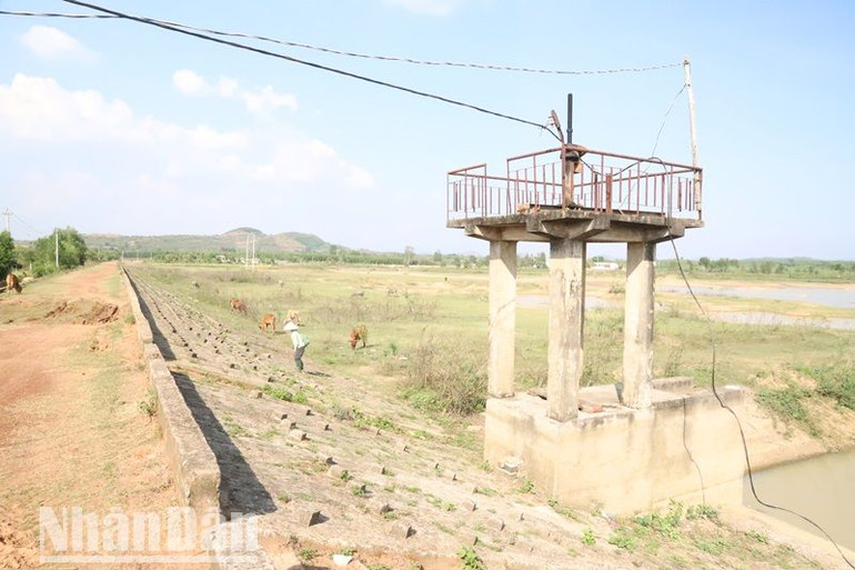 Một công trình thủy lợi trên địa bàn xã Vụ Bổn, huyện Krông Pắc đã khô cạn. Một công trình thủy lợi trên địa bàn xã Vụ Bổn, huyện Krông Pắc đã khô cạn.