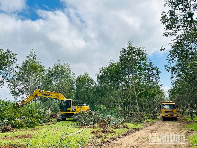 Huyện Krông Pắc là địa phương đầu tiên ở Đắk Lắk hoàn thành 100% công tác giải phóng mặt bằng Dự án đầu tư xây dựng đường bộ cao tốc Khánh Hòa-Buôn Ma Thuột đoạn qua địa bàn huyện.