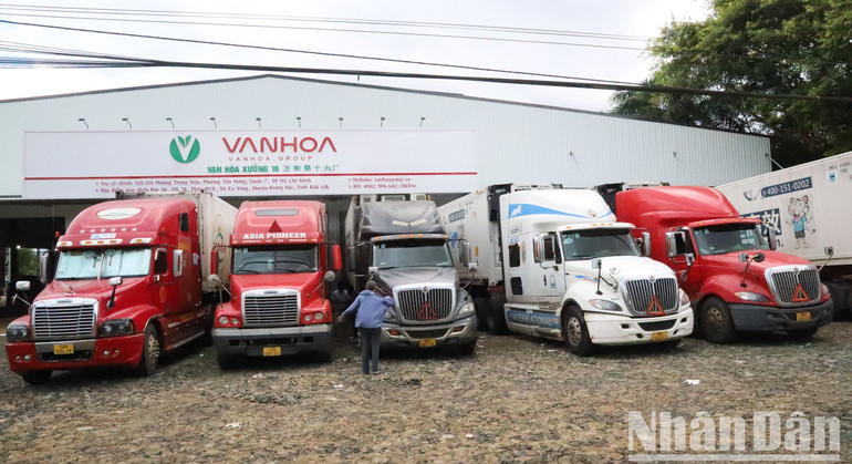 Một cơ sở thu mua sầu riêng xuất khẩu trên địa bàn huyện Krông Pắc.