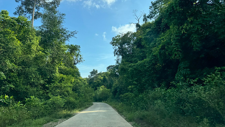 Để lên được tới đỉnh núi Chúa, phải đi xuyên rừng hơn 15km. Để lên được tới đỉnh núi Chúa, phải đi xuyên rừng hơn 15km.