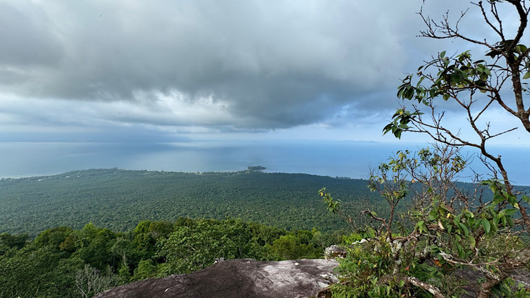 Từ trên cao nhìn xuống, rừng, biển bao la như hòa làm một. Từ trên cao nhìn xuống, rừng, biển bao la như hòa làm một.