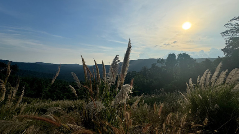 Mặt trời lặn giữa lưng chừng núi cũng là lúc lực lượng chuyên trách bảo vệ rừng vào ca trực mới... Mặt trời lặn giữa lưng chừng núi cũng là lúc lực lượng chuyên trách bảo vệ rừng vào ca trực mới...