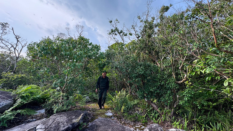 Lực lượng bảo vệ rừng thường xuyên tuần tra, bảo vệ hệ sinh thái nguyên sinh. Lực lượng bảo vệ rừng thường xuyên tuần tra, bảo vệ hệ sinh thái nguyên sinh.